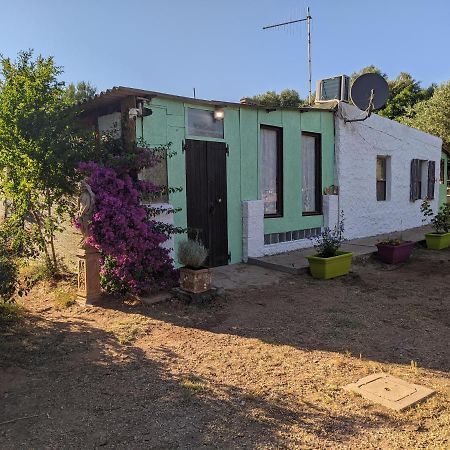 Casa Carlo Βίλα Αλγκέρο Εξωτερικό φωτογραφία